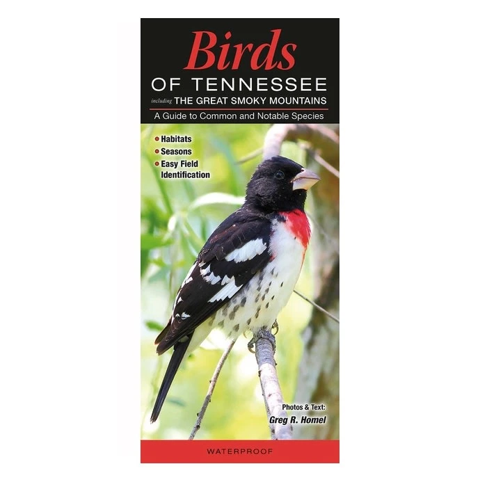 Booklet Birds Of Tennessee Quick Reference Guide 1 Booklet Birds Of Tennessee Quick Reference Guide