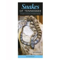 Booklet Snakes Of Tennessee Quick Reference Guide