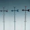 Rain Gauge Stake Bird Arrow Asst Glass/Metal Asst 36"H (#1)